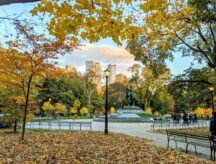 Queens park in the fall, Toronto