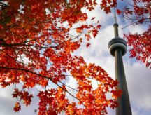 Toronto's CN tower in autumn