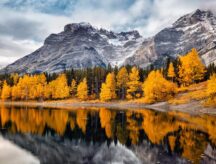 A view of a lake, with snow capped mountains in the background, as leaves turn golden in the autumn